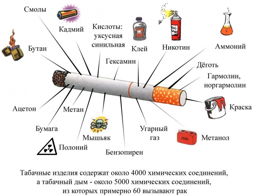 Вред Использования Фаллоимитатора